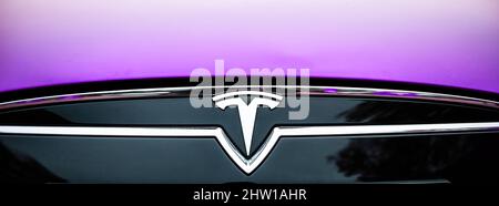 Paris, Frankreich - 29. Nov 2014: Logo von Tesla Motors auf einem neuen Elektroauto in violetter Farbe Stockfoto