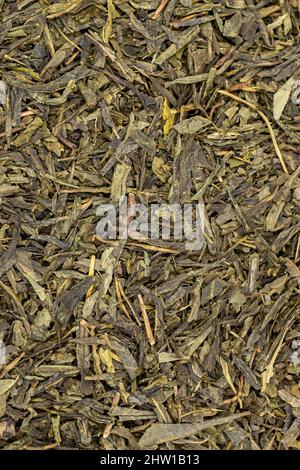 Sencha-Tee. Kräutertee aus nächster Nähe. Sencha ist eine besondere Art von japanischem Tee. Stockfoto