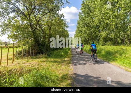 Frankreich, Loire-Atlantique , Loire-Tal, das von der UNESCO zum Weltkulturerbe erklärt wurde, Loire mit dem Fahrrad, Le Pellerin Stockfoto