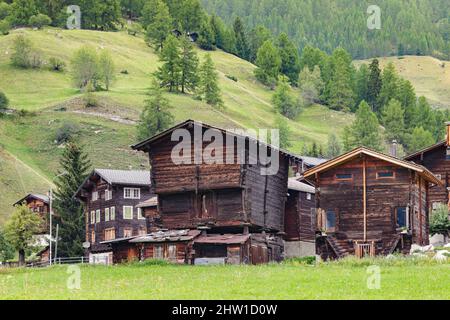 Schweiz, Kanton Wallis, M?nster-Geschinen, traditionelle Chalets aus altem geschwärztem Lärchenholz, auf Stelzen platziert, um den Schnee zu überwinden und den Boden von Ratten zu isolieren, mit ausgewogenen flachen Steinen Stockfoto