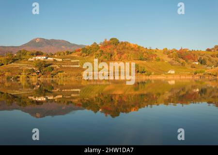 Frankreich, Savoie, natürlicher Regionalpark von Chartreuse, Les Marches, Wein von Savoyen, der See von Saint Andre Stockfoto