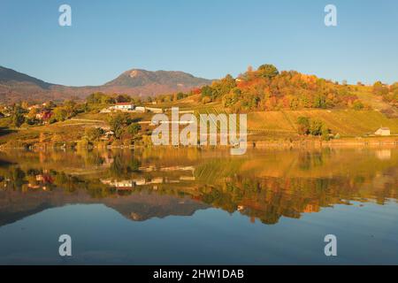 Frankreich, Savoie, natürlicher Regionalpark von Chartreuse, Les Marches, Wein von Savoyen, der See von Saint Andre Stockfoto