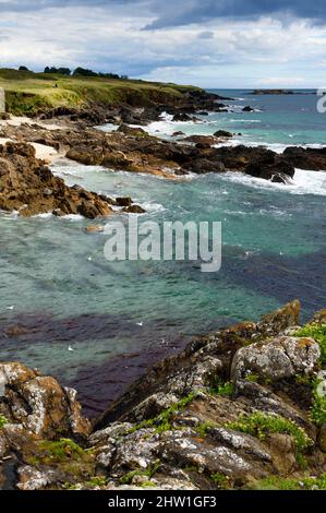 Frankreich, Finistere (29), Moelan sur Mer, die Küste zwischen Kerfany les Pins und dem Strand von Trenez entlang des Wanderweges GR 34 oder sentier des douaniers (Zollweg) Stockfoto