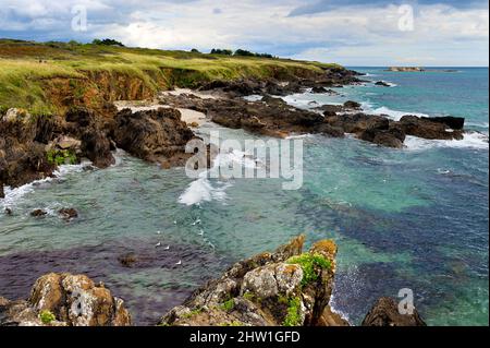 Frankreich, Finistere (29), Moelan sur Mer, die Küste zwischen Kerfany les Pins und dem Strand von Trenez entlang des Wanderweges GR 34 oder sentier des douaniers (Zollweg) Stockfoto