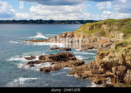 Frankreich, Finistere (29), Moelan sur Mer, die Küste zwischen Kerfany les Pins und dem Strand von Trenez entlang des Wanderweges GR 34 oder sentier des douaniers (Zollweg) Stockfoto