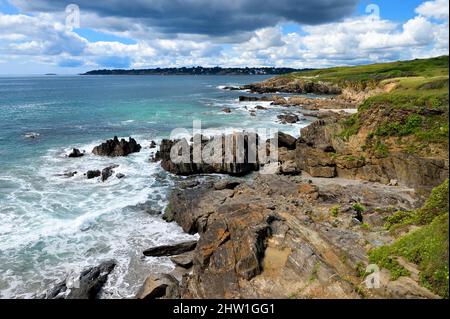 Frankreich, Finistere (29), Moelan sur Mer, die Küste zwischen Kerfany les Pins und dem Strand von Trenez entlang des Wanderweges GR 34 oder sentier des douaniers (Zollweg) Stockfoto