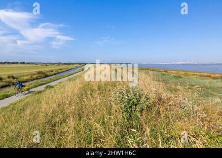 Frankreich, Loire-Atlantique, Corsept, Loire-Radweg Stockfoto