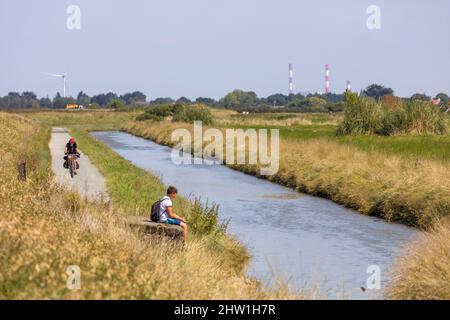 Frankreich, Loire-Atlantique, Corsept, Loire-Radweg Stockfoto