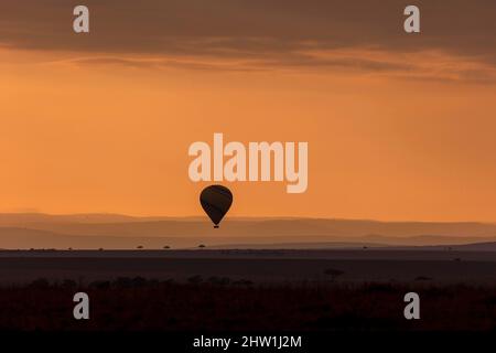 Kenia, Masai Mara National Reserve, Nationalpark, Luftballons, Heißluftballons, die sich über die Hochebenen erheben Stockfoto