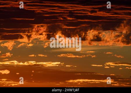 Kenia, Masai Mara National Reserve, Nationalpark, Savanne, Sonnenuntergang über großen hügeligen Ebenen praktisch ohne Bäume bei Sonnenuntergang Stockfoto