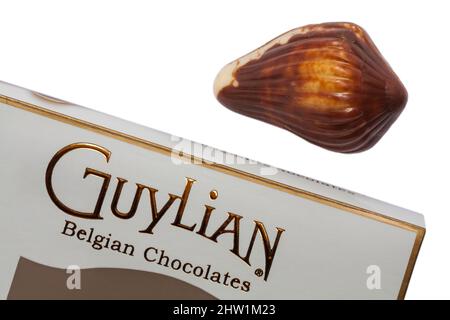 Guylian Belgian Chocolates Muschelschalen Schokolade Muschel mit Box-Set auf weißem Hintergrund - feinste belgische Schokolade mit Haselnuss-Praline-Füllung Stockfoto