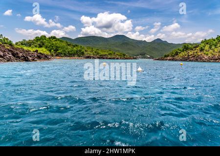 Frankreich, Karibik, Französisch-Westindien, Guadeloupe, Basse-Terre, Malendure, Cousteau Nature Reserve, Bathysmed Scuba Diving durch den Atlantis Club, kombiniert Sophrologie, achtsame Atmung, Zen und Sport Kontemplation, hier der Ort des Schwimmbades (Ort des Tauchens) Stockfoto