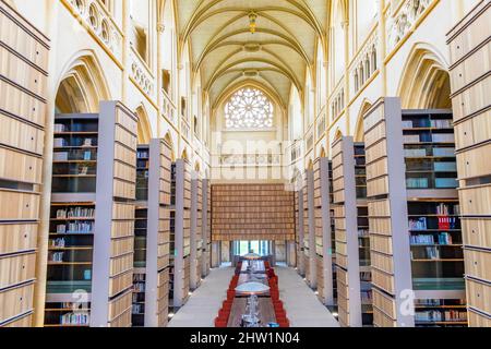 Frankreich, Calvados, Saint Germain la Blanche Grass in der Nähe von Caen, Abtei von Ardenne Hauptquartier des Instituts M?moires de l''dition contemporaine (IMEC) Archive und Studien zu den wichtigsten Verlagen, Zeitschriften und verschiedenen Akteuren im Leben von Büchern und zeitgenössischer Schöpfung Stockfoto