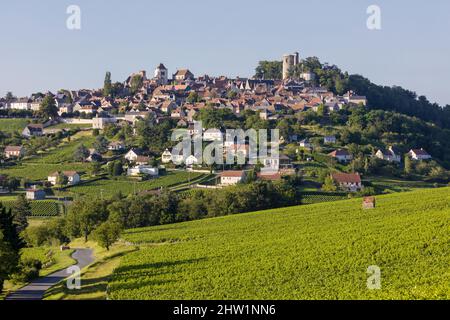 Frankreich, Cher, Berry Region, Sancerre, die Stadt auf dem Gipfel, die Sancerre Weinberge Stockfoto