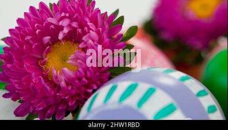 Bild von ostereiern und Blumen auf Gras Stockfoto