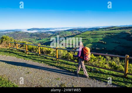 Spanien, Galizien, Umgebung von Triacastela, Wanderung auf dem Camino Franc, der spanischen Pilgerroute nach Santiago de Compostela, die zum UNESCO-Weltkulturerbe gehört Stockfoto