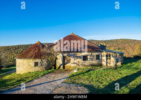 Spanien, Galizien, Ortsteil Fonfria, Bühne auf dem Camino Franc, spanische Pilgerroute nach Santiago de Compostela, UNESCO-Weltkulturerbe, Palloza der albergue A Reboleira, mittelalterliche Wohnung mit Strohdach Stockfoto