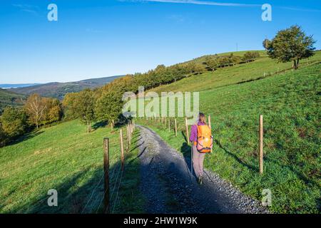 Spanien, Galizien, Umgebung von Triacastela, Wanderung auf dem Camino Franc, der spanischen Pilgerroute nach Santiago de Compostela, die zum UNESCO-Weltkulturerbe gehört Stockfoto