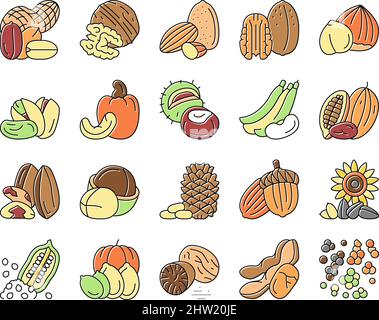 Nut Delicious Natural Nutrition Icons Set Vector . Stock Vektor