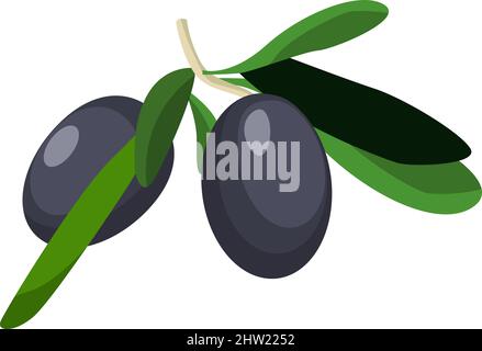 Symbol für schwarze Oliven. Grüner Zweig mit Blättern und reifen Früchten Stock Vektor