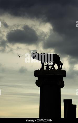 Lupa capitolina, Rom, Italien Stockfoto