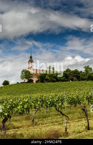 Wallfahrtskirche Birnau am Bodensee, Uhldingen-Mühlhofen, Baden-Württemberg, Deutschland Stockfoto