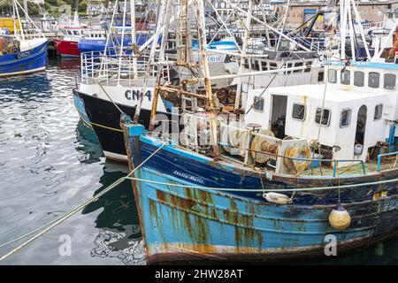 Fleißig arbeitende Fischerboote im Hafen von Mallaig, Highland, Schottland, Großbritannien Stockfoto