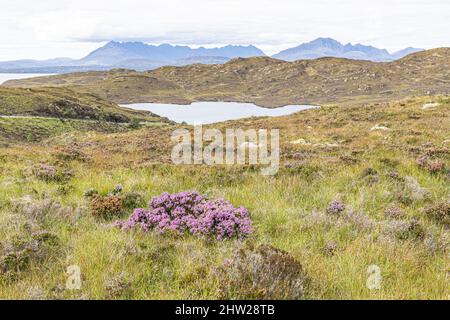 Blick nach Norden über Loch Dhughaill auf der Sleat Peninsula im Süden der Isle of Skye, Highland, Schottland, Großbritannien Stockfoto