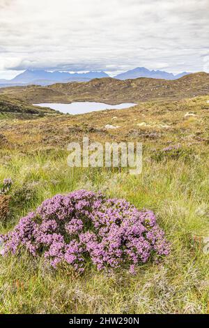 Blick nach Norden über Loch Dhughaill auf der Sleat Peninsula im Süden der Isle of Skye, Highland, Schottland, Großbritannien Stockfoto