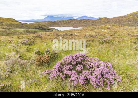 Blick nach Norden über Loch Dhughaill auf der Sleat Peninsula im Süden der Isle of Skye, Highland, Schottland, Großbritannien Stockfoto