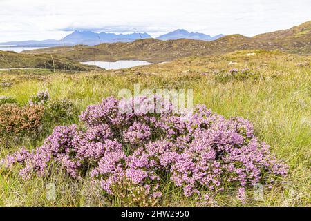 Blick nach Norden über Loch Dhughaill auf der Sleat Peninsula im Süden der Isle of Skye, Highland, Schottland, Großbritannien Stockfoto