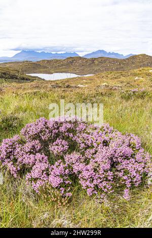 Blick nach Norden über Loch Dhughaill auf der Sleat Peninsula im Süden der Isle of Skye, Highland, Schottland, Großbritannien Stockfoto