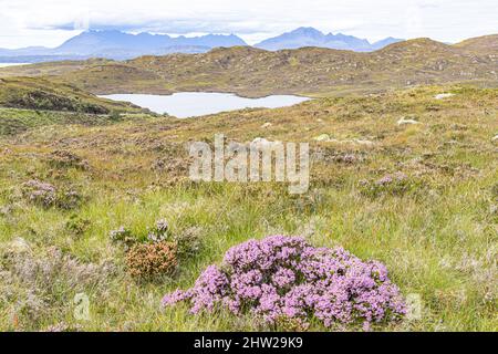 Blick nach Norden über Loch Dhughaill auf der Sleat Peninsula im Süden der Isle of Skye, Highland, Schottland, Großbritannien Stockfoto