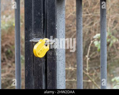 Gelbes Vorhängeschloss am verschlossenen Tor. Stockfoto