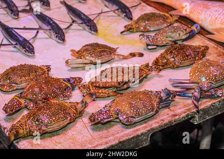 Schwimmerkrabbe auf einem Tablett. Closeup Fresh Swimmerkrabbe, Mangrove Krabben Reihen von Krabben, die mit Stroh gebunden sind, werden auf dem einheimischen Markt verkauft. Stockfoto