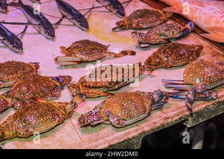 Schwimmerkrabbe auf einem Tablett. Closeup Fresh Swimmerkrabbe, Mangrove Krabben Reihen von Krabben, die mit Stroh gebunden sind, werden auf dem einheimischen Markt verkauft. Stockfoto