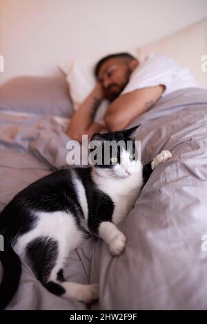 Ein Kätzchen liegt auf dem Bett, während der Erwachsene männliche Besitzer im Hintergrund schläft Stockfoto