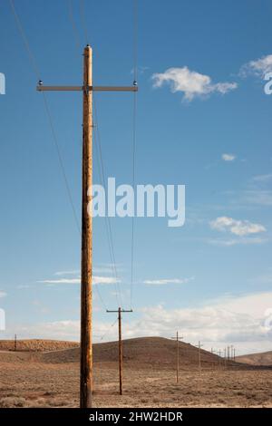 Telefonmasten, Stromleitungen oder Versorgungsmasten, aufgereiht in einer Reihe über Land und Hügel in Wyoming mit blauem Himmel darüber. Stockfoto