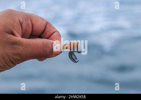 Makroaufnahme einer kleinen Krabbe mit einer Muschel in der Hand. Nahaufnahme. Muscheln in der Hand Nahaufnahme. Stockfoto