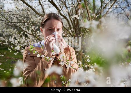 Allergische Frau, die im Frühling an einer saisonalen Allergie leidet und im Frühling im blühenden Garten posiert. Junge Frau niest und bläst die Nase zwischen blühenden Bäumen. Frühjahrsallergiekonzept Stockfoto