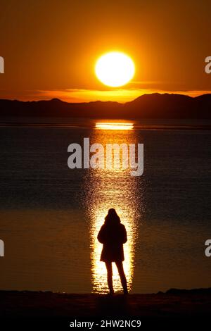 03. März 2022, Schleswig-Holstein, Föhr: Eine Frau beobachtet den Sonnenuntergang am Strand von Utersum auf der Nordseeinsel Föhr. Foto: Christian Charisius/dpa Stockfoto