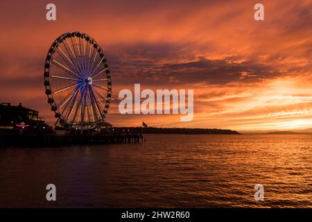 Seattle, USA. 2. März 2022. Das Seattle Great Wheel beleuchtete zur Unterstützung der Ukraine bei Sonnenuntergang. Stockfoto
