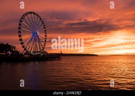 Seattle, USA. 2. März 2022. Das Seattle Great Wheel beleuchtete zur Unterstützung der Ukraine bei Sonnenuntergang. Stockfoto