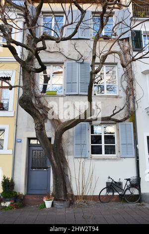 Fassaden alter Häuser im Zentrum von Basel, Schweiz Stockfoto