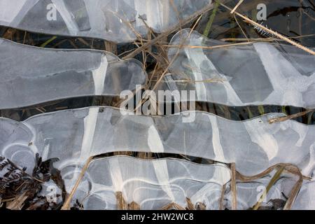 Von der Natur aus Eisflächen in Sumpfgewässern, Kemeri-Nationalpark, Lettland Stockfoto