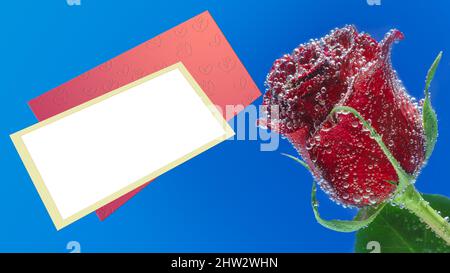 Rosenblüte in Luftblasen und ein Rahmen für Text, auf blauem Hintergrund. Selektiver Fokus, Kunstdesign Stockfoto