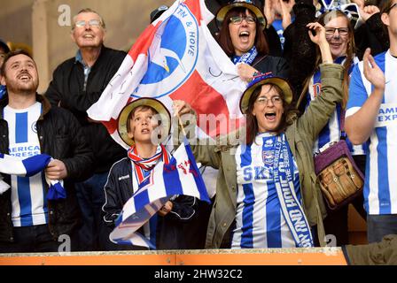 Unterstützer von Brighton & Hove Albion, die sich zur Beförderung bekleidet haben. Wolverhampton Wanderers / Brighton & Hove Albion auf der Molineux 14/04/2017 Stockfoto