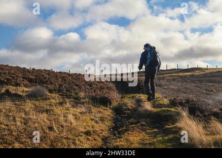 Ein Spaziergang durch die Südstaaten, um die drei Brüder zu sehen Stockfoto