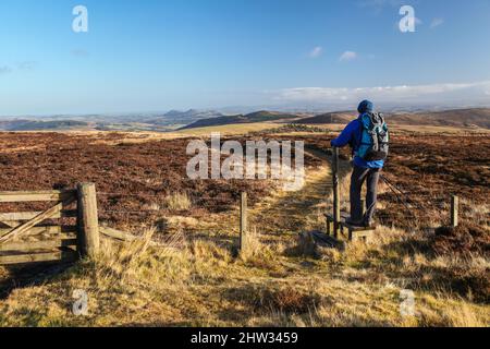 Ein Spaziergang durch die Südstaaten, um die drei Brüder zu sehen Stockfoto