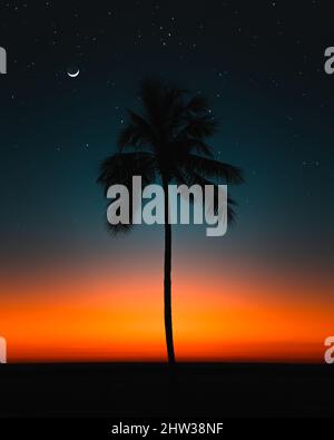 Fantastische sternenklare Nachtansicht der Silhouette der Palme vor einem dunkelblauen und orangen Himmel Stockfoto